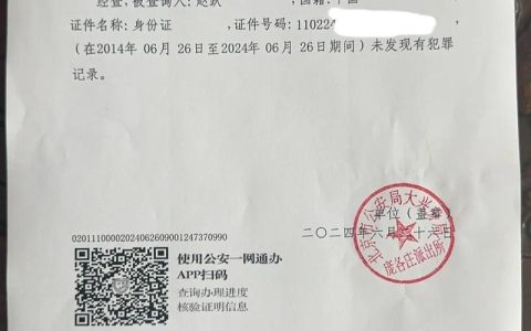 无犯罪证明造假的法律风险与防范