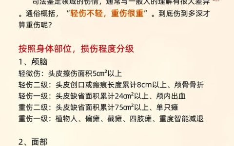 轻伤一级伤害案件的判决标准与应对策略
