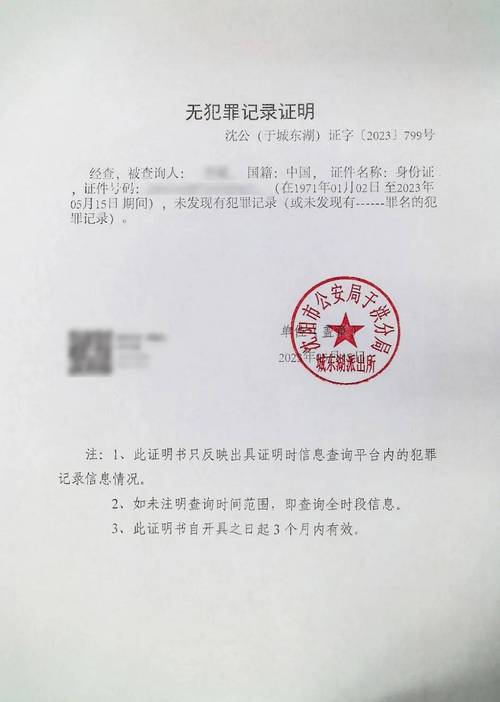 河南无犯罪记录证明如何线上办理