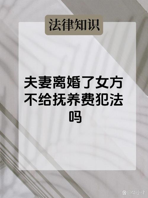 婚内生子非己出：法律的红线与情感的漩涡