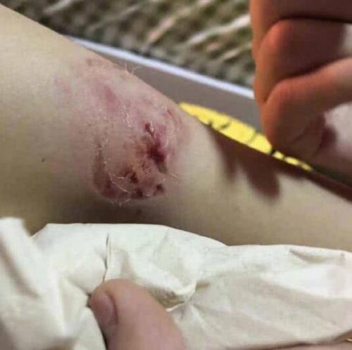 家庭冷暴力算家暴吗？如何维权？