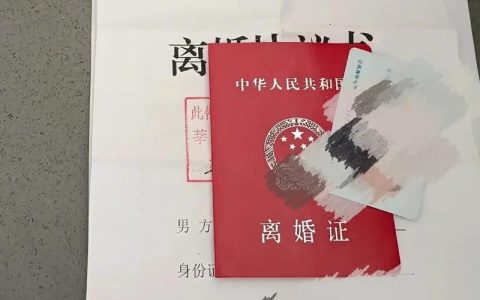 如何快速办理离婚手续全解析