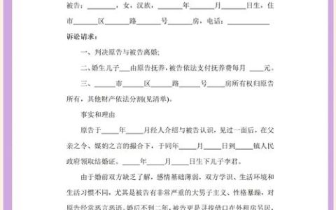 再婚非儿戏：离婚诉状模板的陷阱与指南