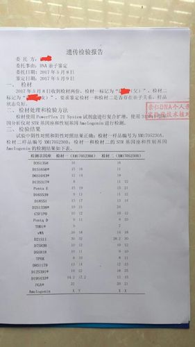 无结婚证给孩子上户口，亲子鉴定是必选项吗？