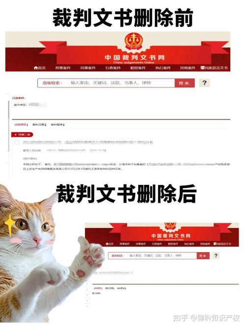 诉讼记录可以消除吗？深度解析