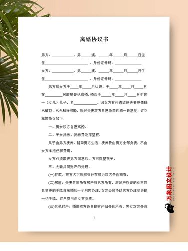 一份规避未来纠纷的离婚协议书指南