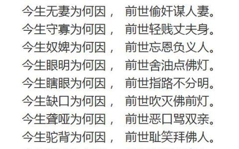 揭示生命蓝图的法则：佛法因果报应深度解析