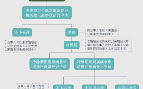 离婚手续办理时间与星期安排解析