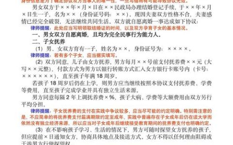2025年离婚诉讼模板与流程详解