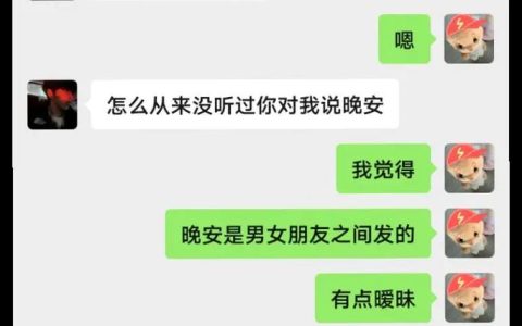 妻子与异性暧昧聊天，法律与情感的抉择