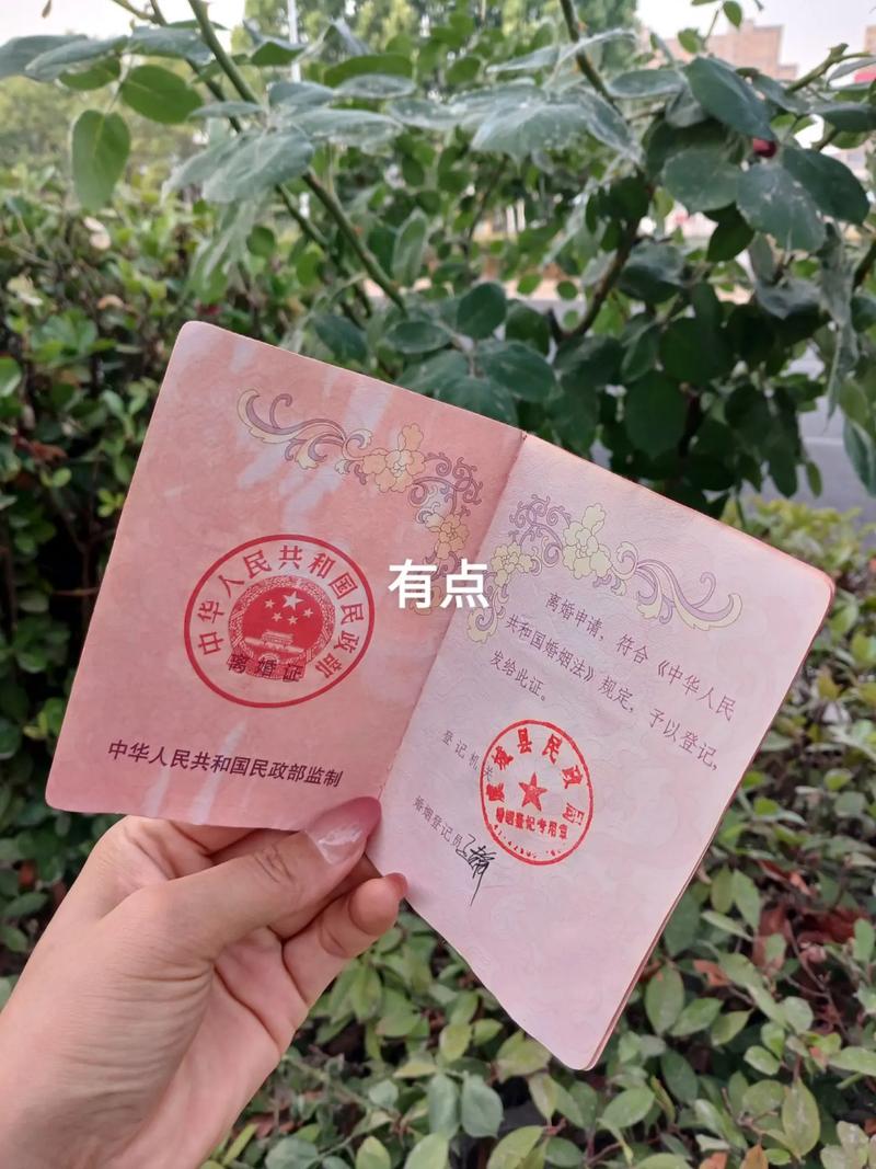 跳出离婚归责的漩涡，法律与情感的答案