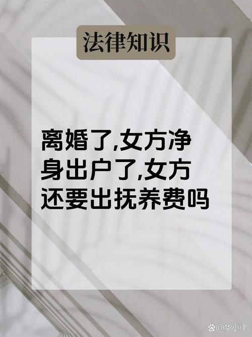 离婚净身出户规定：最新解读与避坑
