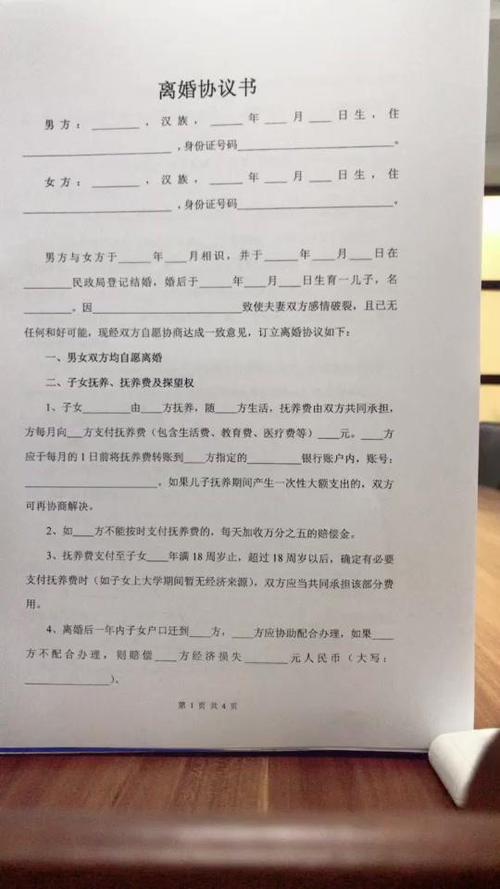 离婚协议模板标准版免费获取指南